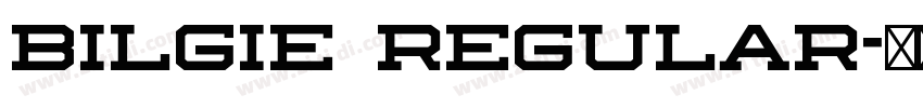 Bilgie regular字体转换 Bilgie regular字体转换